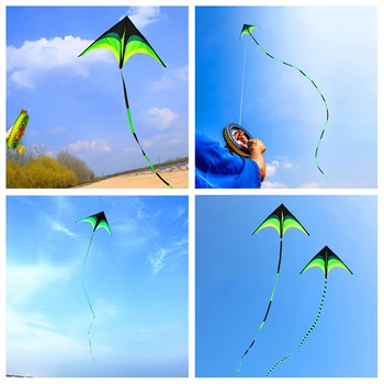 бесплатная доставка большой дельта-воздушный змей игрушки развлечения на открытом воздухе летающие воздушные змеи для взрослых воздушный змей игрушка спортивный воздушный змей для кайтсерфинга полет воздушного змея Орел